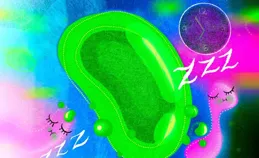 看不見的碳捕手：浮遊生物的生態貢獻