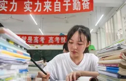 從菜鳥到玉石收藏家，你需要了解的10個和田玉知識！