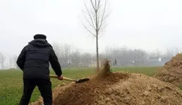 俗語「掃墓三不動，一動窮三代」。「三不動 」指的是啥？有道理嗎