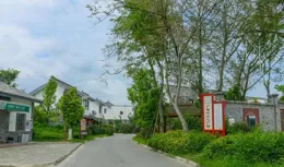 回農村養老一年，夫妻倆無奈逃回城市：家鄉早已不是記憶中的模樣