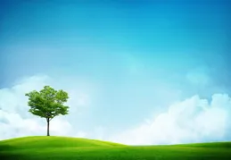 1.7丨小頭像 桌布