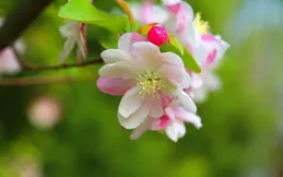 你在心中，此生足矣，我在夢裏等你