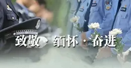 「向208名英烈致敬，他們為我們奉獻了怎樣的犧牲？」