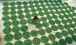 喜訊！三明市8名非遺傳承人被評為「福建省鄉村工匠名師」