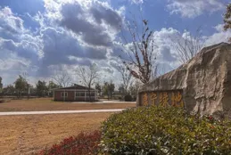 寶山新名片！康寧綠地：冬日暖陽下的彩色盛宴，你打卡了嗎？