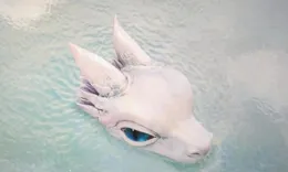 【大奉打更人】許七安的身世與風雲變幻