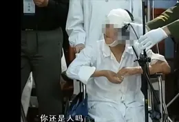 林秉文囂張發文 陳菁徽酸：通緝犯趴趴走是民進黨「執政」10年禮物