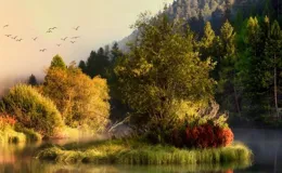 精選了黑塞的42個名句，一起來深刻回味