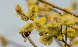 每一段路，都是一種領悟（寫得真好）