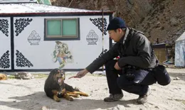 說走就走的旅行，需要什麽底氣？