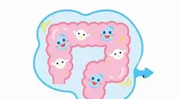 腸胃不適吃益生菌有用嗎？益生菌能長期吃嗎？一文了解「益生菌」