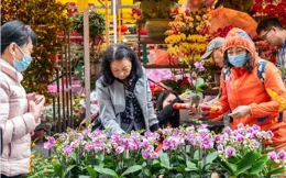 科技風、運動風、古韻風…… 2025廣州11區花市即將亮相