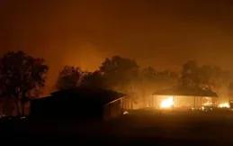 加州山火肆虐：洛杉磯陷入火海，損失或超500億美元