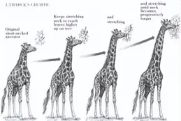 地球上一開始沒有人類，那麽第一個男人和女人是怎麽來的？