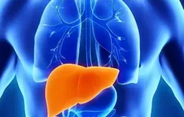 有研究表明防曬成分會進入血液，對人體有害，不願意女朋友每天塗厚厚的防曬，女朋友因此不開心了，怎麽辦？