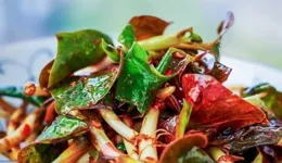 為什麽折耳根這麽難吃成都人還吃？