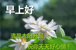 11句早上好問候語每日更新，事事如意，幸福美滿