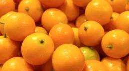 12月謠言榜丨吃金桔能治咳嗽？板栗仁變褐色就不能吃了？假的