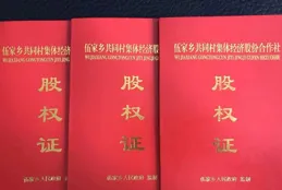 800多萬！宜昌這個村又發錢了