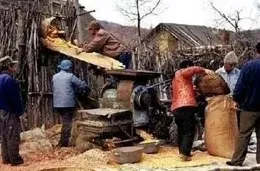 難以置信！六七十年代農村，勤勞與逸樂的傾斜背後真相！