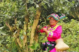 綿陽北川吳紅獲評享受國務院政府特殊津貼專家