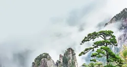 中國5個最美人間仙境，去過一個就是人間值得，去過三個了不起！