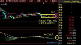 電科網安（002268）1月10日主力資金凈流入106.16萬元