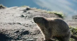 米體：尤文球迷對莫塔越發不滿，但高層仍信任他&未來40天很重要