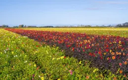 心中住著一個特別的你，你是愛，是暖，是值得，是在乎