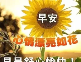 10張最新精選祝福圖片：請珍愛自己，不要太勞累了，健康最為重要