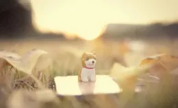 生活壓得你喘不過氣？不如學會「無視」這些煩惱，放下才能輕松！