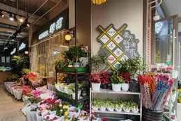 春節臨近，這些年宵花最受歡迎→