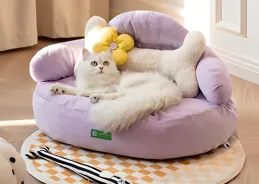 貓窩應該放在哪裏才合適？