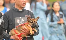 Remedy致力於打造「歐洲版頑皮狗」