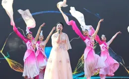 全國「春節村晚」示範展示活動走進嘉魚四邑村