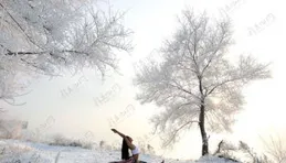 七律·霧凇滿江城