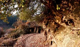 中國傳統古村：福建建寧伊家鄉高嶺自然村