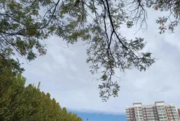 孩子在教室的座位和同桌對孩子的成績有多少影響。