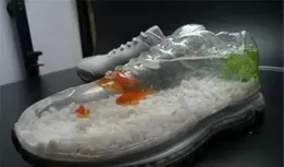 看傻眼！39個魚缸設計，設計師是要逆天嗎？