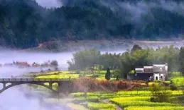 好訊息！「寶興藏香豬」「寶興綠茶」「寶興枇杷」納入【中國農產品品牌索引名錄】