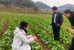 石阡縣農技專家下鄉科學指導農戶農作物冬管