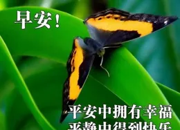 12張最新精選祝福圖片：天氣寒冷，請註意保暖，照顧好自己