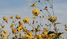 人到中年，說話留德、做事留心、做人留路