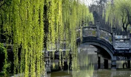 【楹聯雅韻】上聯：柳岸花明春正好，請師友賜下聯！