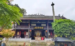 法藏寺的銀杏黃了