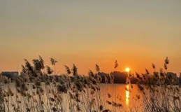 深耕自己，活出那束光