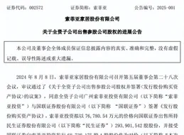 佐菲雅不再持有民生證券，成為國聯證券股東