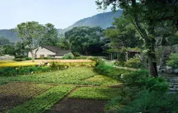 農村的現代生活——新時代的田園牧歌