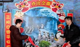 寓教於樂共築海洋夢， 上海長風海洋世界趣探企鵝滬上新居