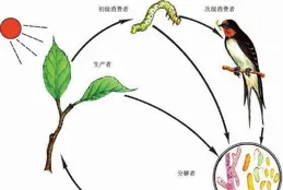 一鯨落，萬物生，黃葉雕，梅花綻。